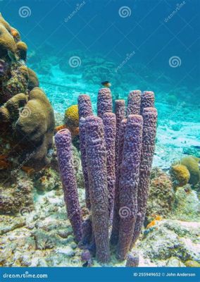  Variational Vase Sponge: Unveiling the Exquisite Beauty and Surprising Resilience of This Deep-Sea Dweller!